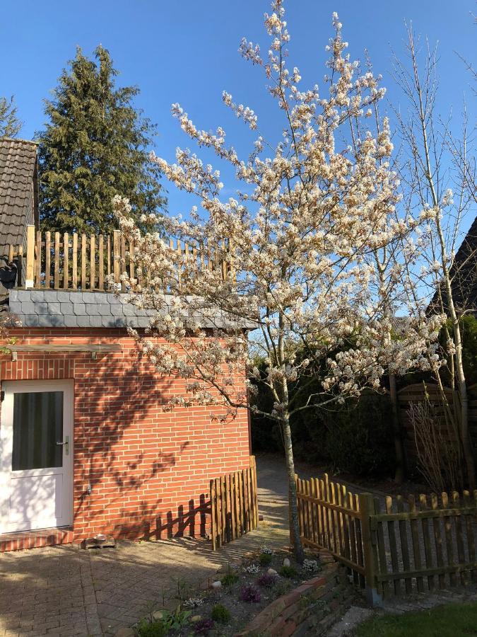 Haus Am Reithmoor Βίλα Grossefehn Εξωτερικό φωτογραφία